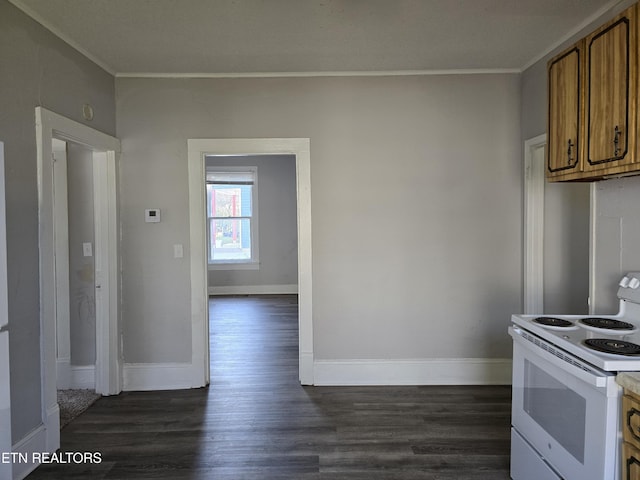 kitchen with crown molding, white range with electric cooktop, and dark hardwood / wood-style flooring