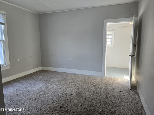 empty room featuring crown molding and carpet floors