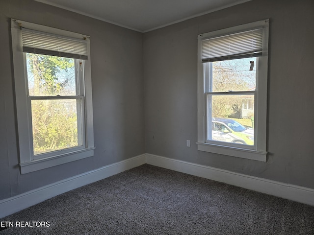 unfurnished room with crown molding, carpet, and a wealth of natural light