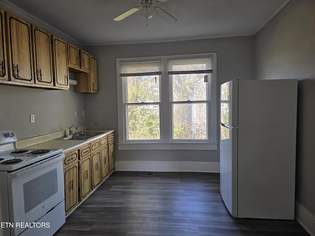 kitchen with ceiling fan, sink, dark wood-type flooring, and white appliances