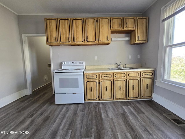 kitchen with sink, electric range, ornamental molding, and dark hardwood / wood-style floors