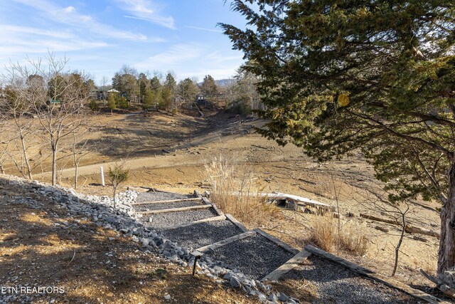 view of local wilderness