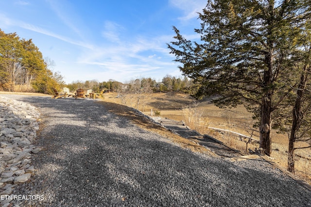 view of road featuring gravel driveway