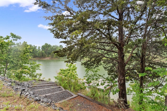 133 Granny Davis Way, Dandridge, TN 37725 - water view