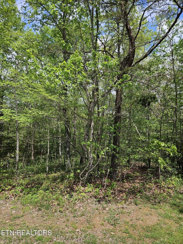 655 Lakeview Dr, Fairfield Glade, TN 38558 - photo 3