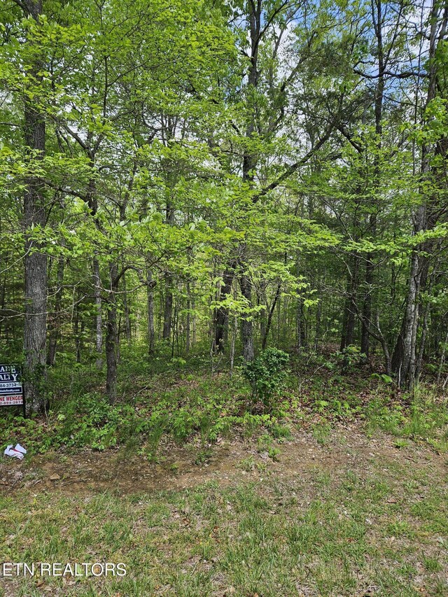 655 Lakeview Dr, Fairfield Glade, TN 38558 - photo 4