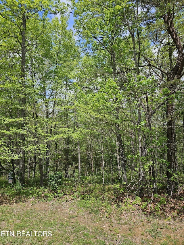 655 Lakeview Dr, Fairfield Glade, TN 38558 - photo 5