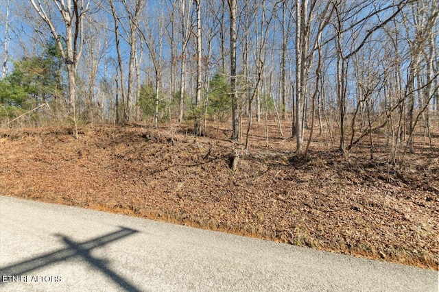 Listing photo 3 for E Dogwood Trl, Lafollette TN 37766