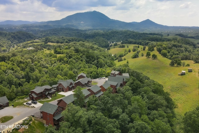 drone / aerial view with a mountain view