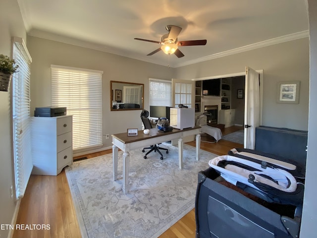 office with ornamental molding, ceiling fan, and light hardwood / wood-style floors