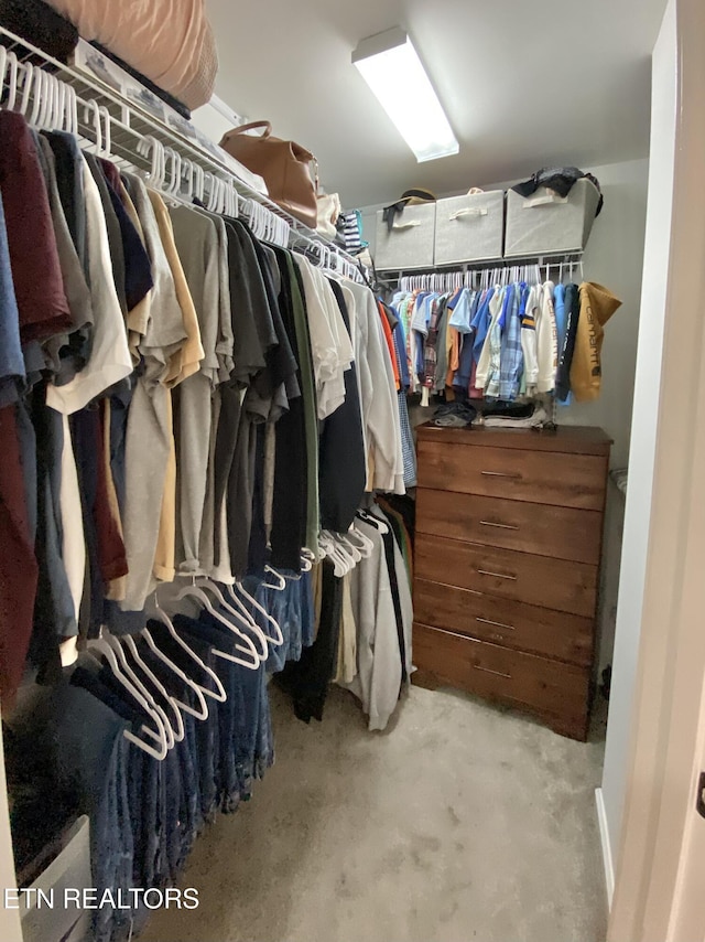 view of walk in closet