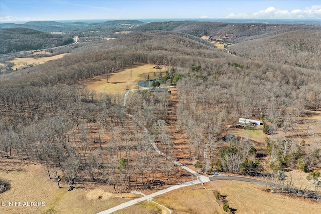 drone / aerial view featuring a mountain view and a rural view