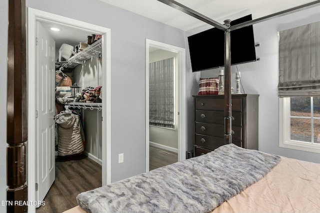 bedroom featuring dark wood-type flooring, a spacious closet, and a closet