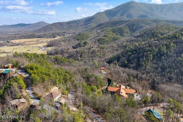 aerial view with a mountain view