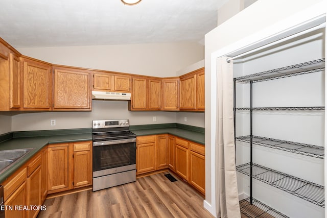 kitchen with dishwashing machine, stainless steel electric range, vaulted ceiling, and light hardwood / wood-style floors