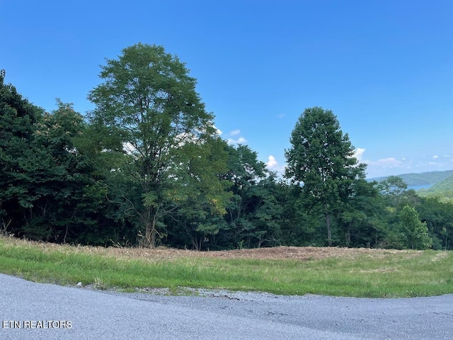 Listing photo 3 for LOT57A Goose Rd, Hilham TN 38568