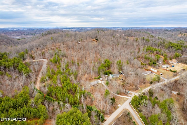 7249 Brewer Rd, Maryville, TN 37801 - photo 21
