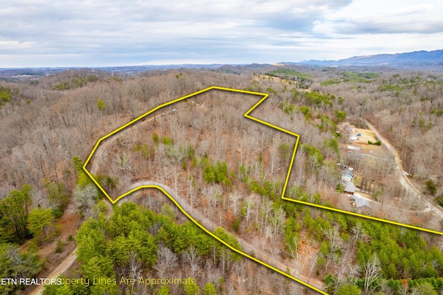 7249 Brewer Rd, Maryville, TN 37801 - photo 23