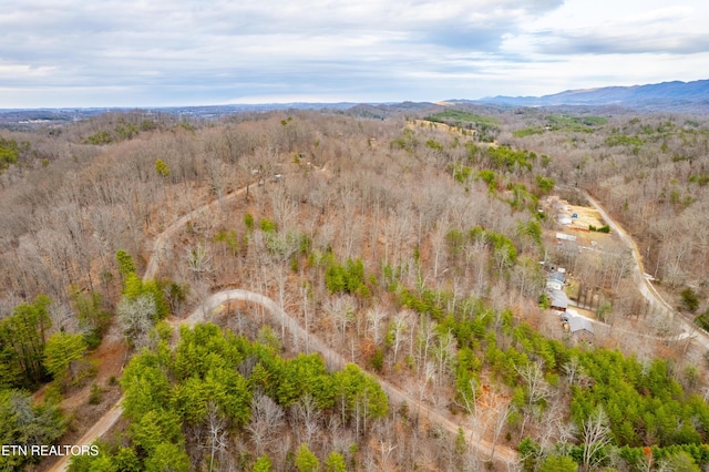 7249 Brewer Rd, Maryville, TN 37801 - photo 24