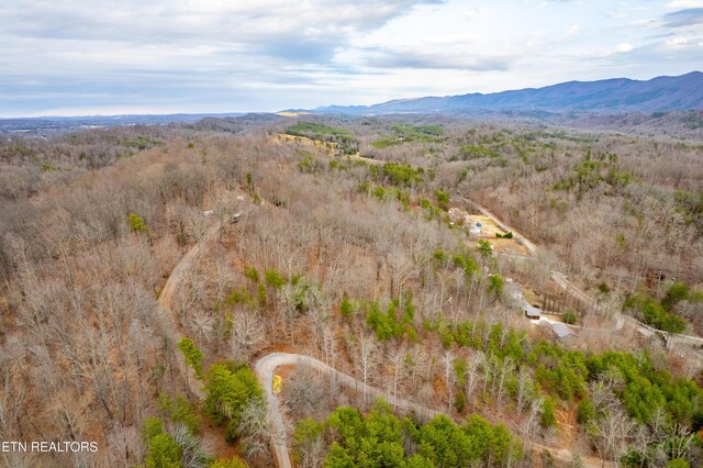 7249 Brewer Rd, Maryville, TN 37801 - photo 25
