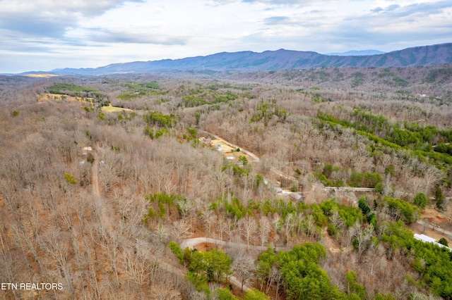 7249 Brewer Rd, Maryville, TN 37801 - photo 26