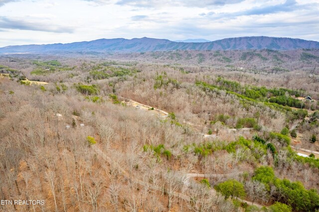7249 Brewer Rd, Maryville, TN 37801 - photo 27