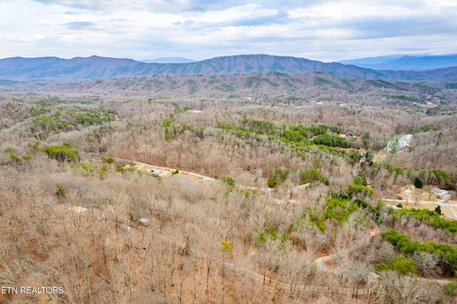 7249 Brewer Rd, Maryville, TN 37801 - photo 28