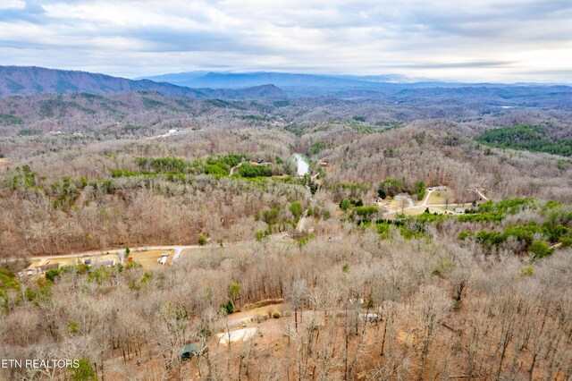 7249 Brewer Rd, Maryville, TN 37801 - photo 29