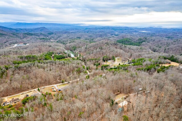 7249 Brewer Rd, Maryville, TN 37801 - photo 14