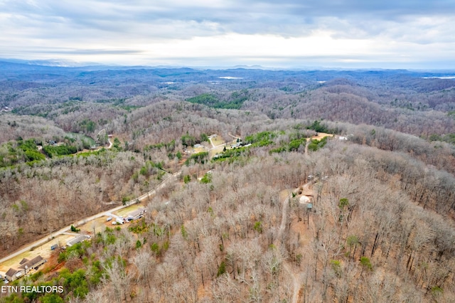 7249 Brewer Rd, Maryville, TN 37801 - photo 30