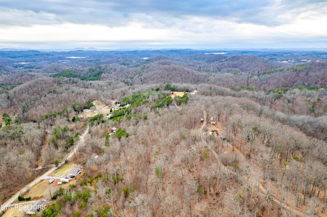 7249 Brewer Rd, Maryville, TN 37801 - photo 31
