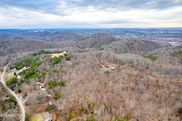 7249 Brewer Rd, Maryville, TN 37801 - photo 33