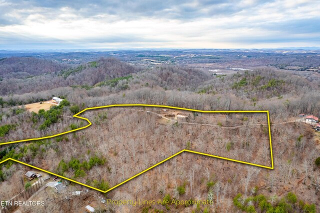 7249 Brewer Rd, Maryville, TN 37801 - photo 34