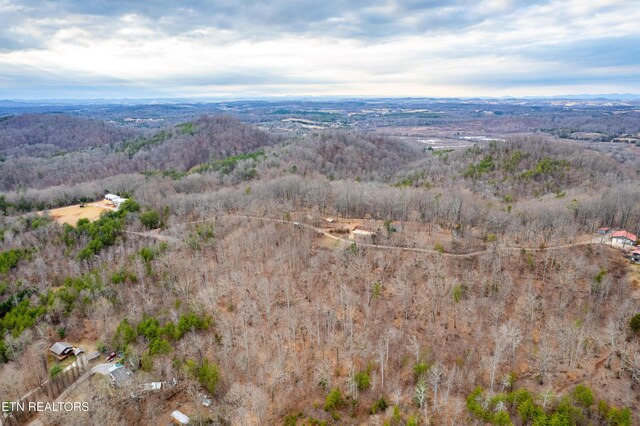 7249 Brewer Rd, Maryville, TN 37801 - photo 35