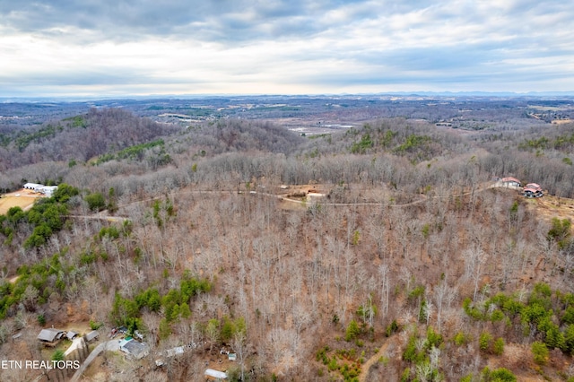7249 Brewer Rd, Maryville, TN 37801 - photo 36