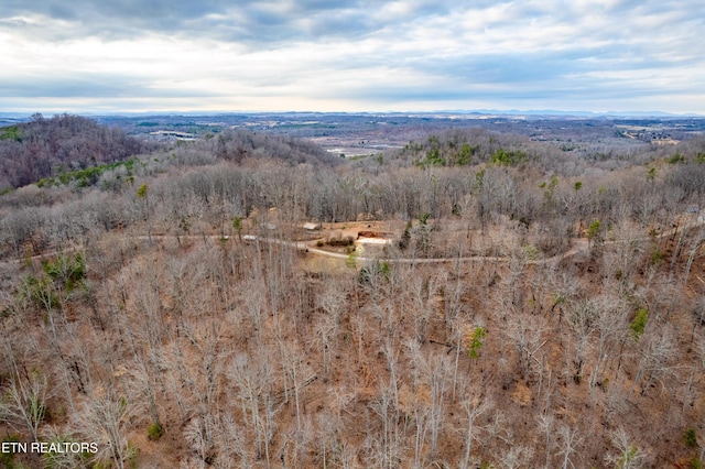 7249 Brewer Rd, Maryville, TN 37801 - photo 38