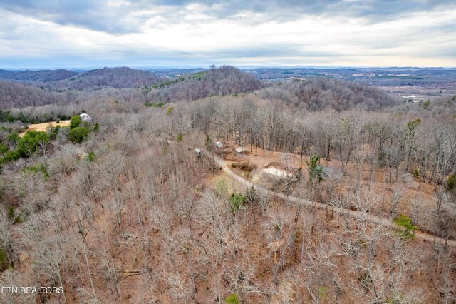 7249 Brewer Rd, Maryville, TN 37801 - photo 39