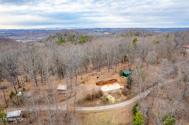 7249 Brewer Rd, Maryville, TN 37801 - photo 8