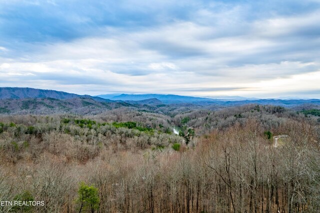 7249 Brewer Rd, Maryville, TN 37801 - photo 40