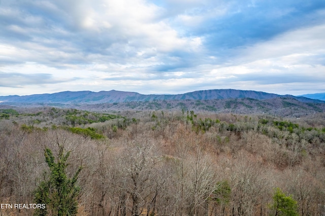 7249 Brewer Rd, Maryville, TN 37801 - photo 41
