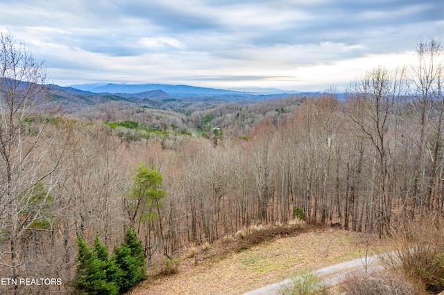 7249 Brewer Rd, Maryville, TN 37801 - photo 42