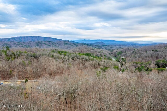 7249 Brewer Rd, Maryville, TN 37801 - photo 43