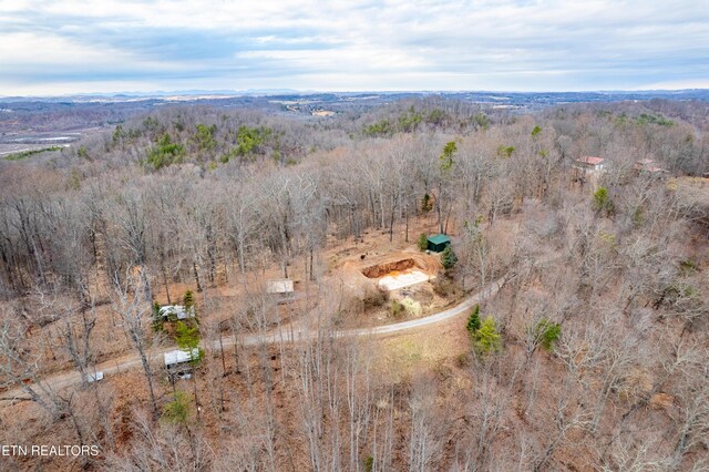 7249 Brewer Rd, Maryville, TN 37801 - photo 4
