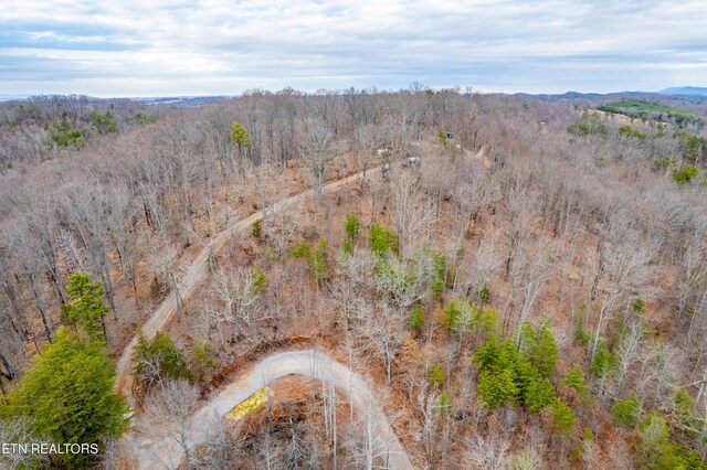 7249 Brewer Rd, Maryville, TN 37801 - photo 44