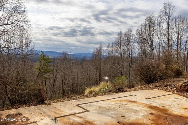 7249 Brewer Rd, Maryville, TN 37801 - photo 6