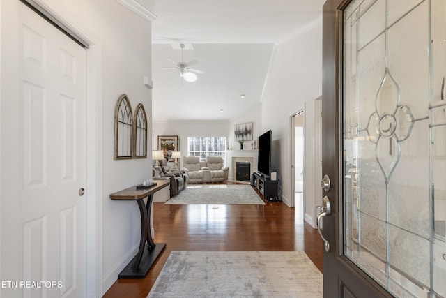 entryway with crown molding, lofted ceiling, dark wood-type flooring, and ceiling fan