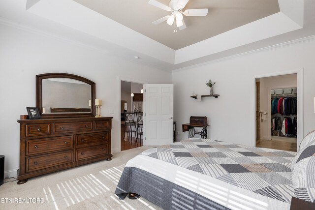 carpeted bedroom featuring ceiling fan, a walk in closet, a tray ceiling, and a closet