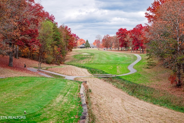 view of community with a lawn