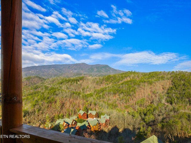 950 Black Bear Cub Way, Sevierville, TN 37862 - view of mountain feature