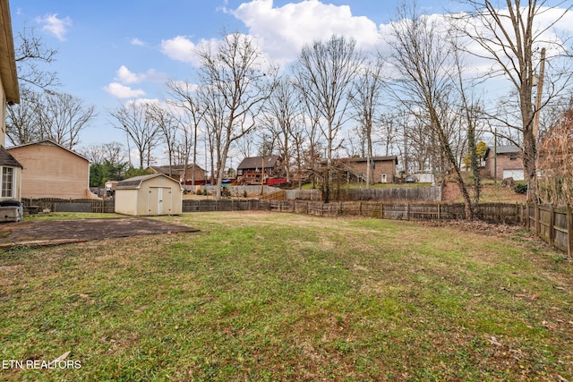 view of yard with a storage shed and a patio